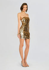 Nolia Sequin Embellished Dress